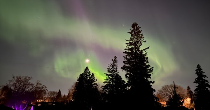 ‘Super bright and super crazy’: Northern lights takes over Saskatchewan sky
