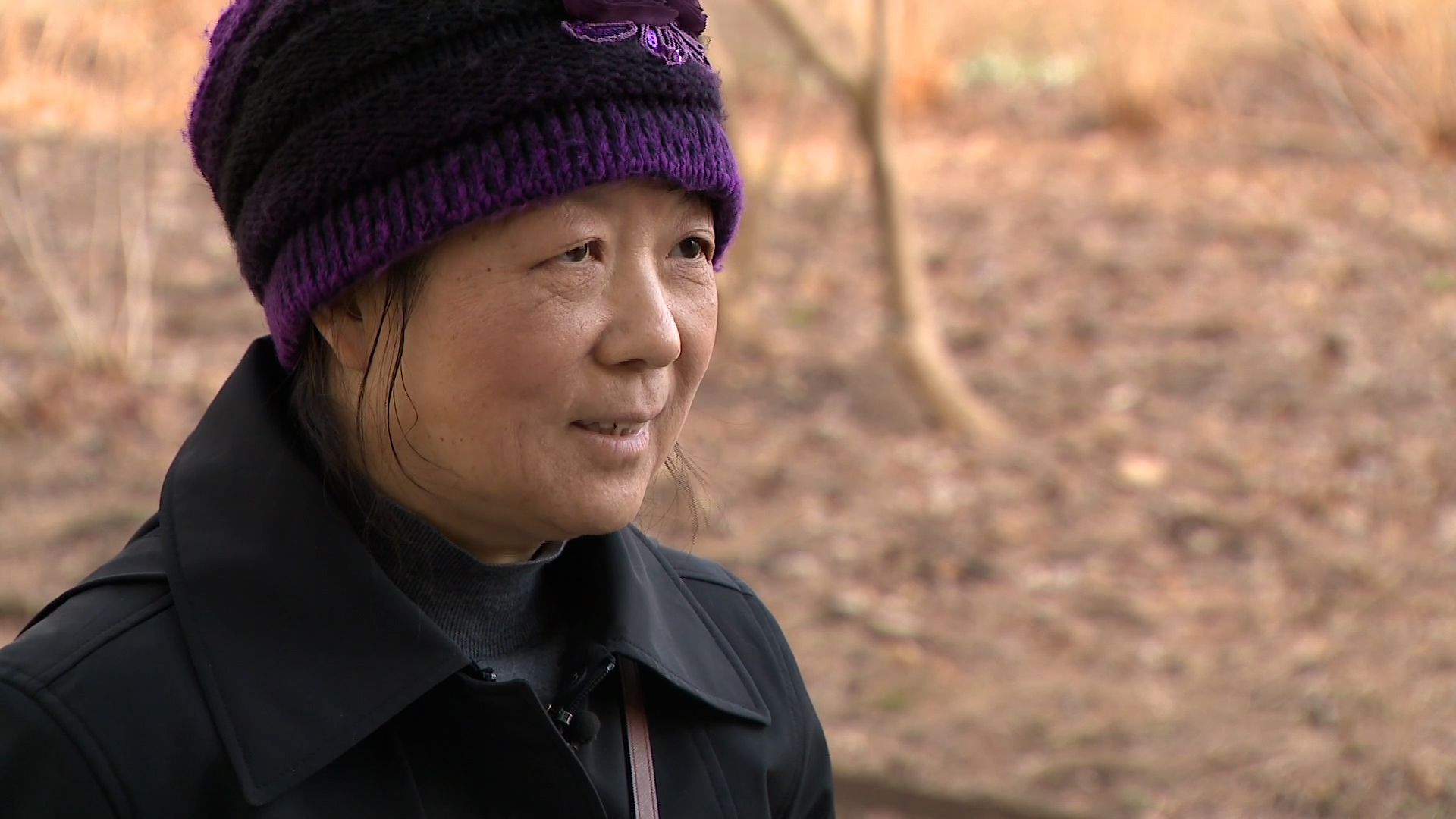 Michelle Zhang Chinese interference