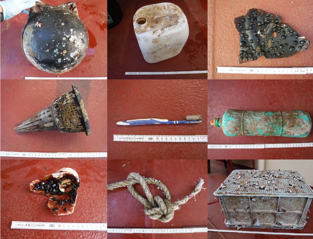 A sample of plastic items with various sea life on it.