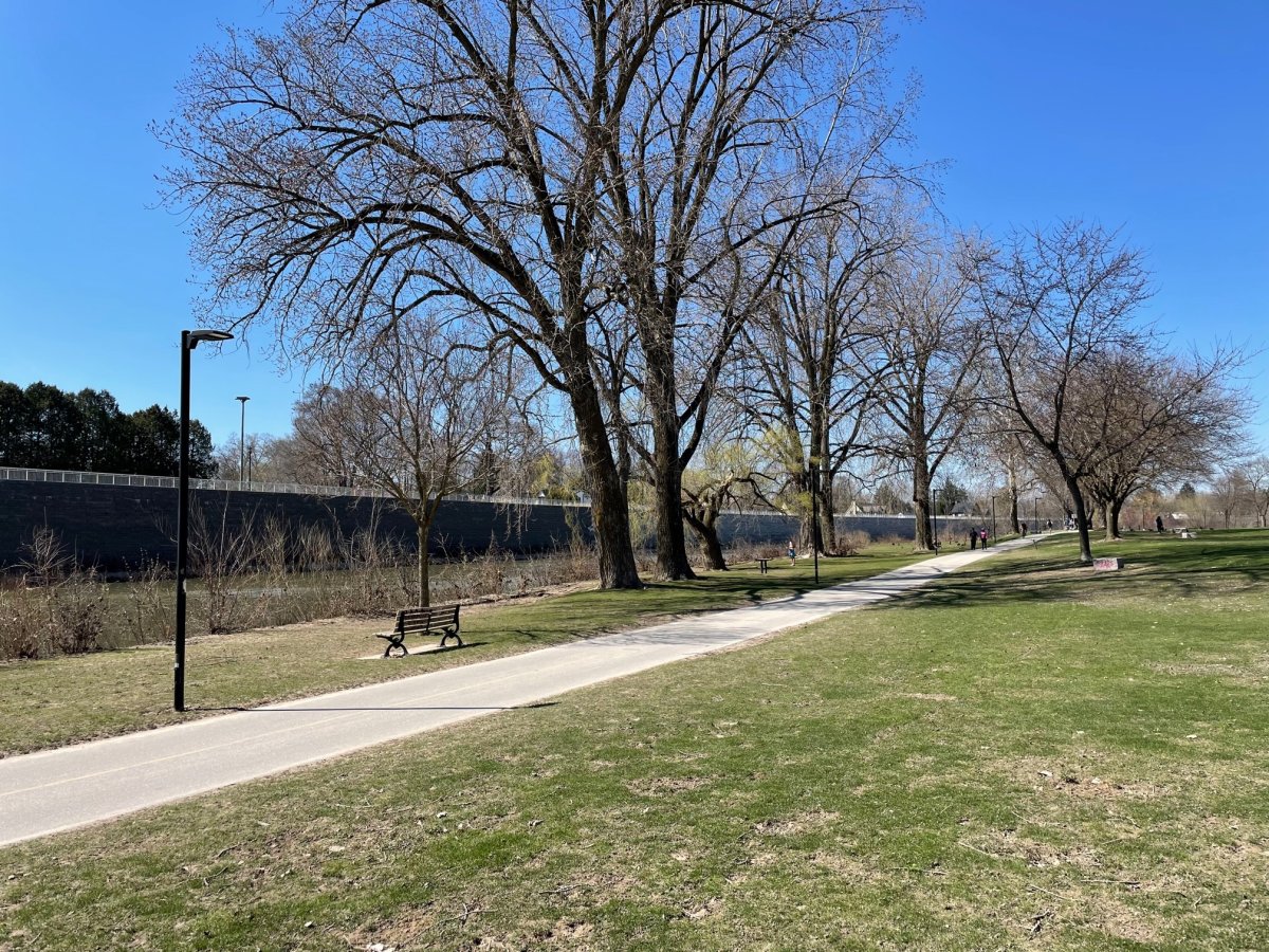 An empty stretch of Harris Park with blue skies, small buds on the trees and a view of the river.