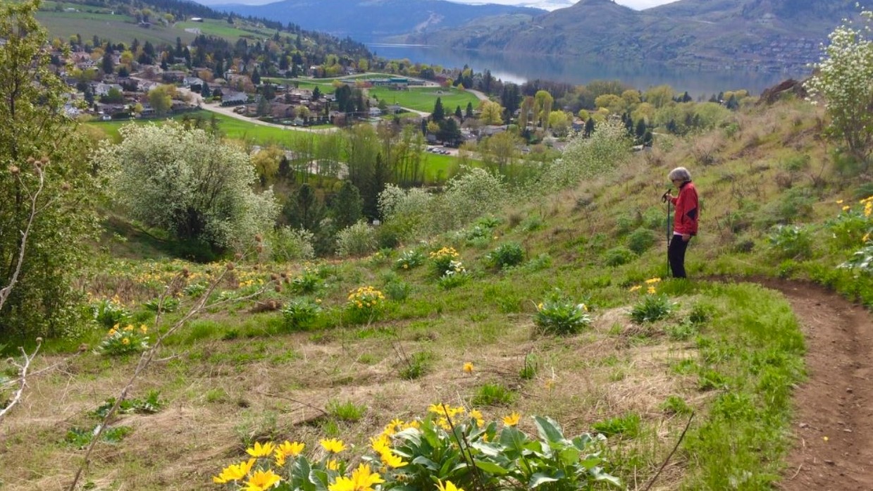Greater Vernon area is now the Trails Capital of B.C. – Okanagan | 24CA News