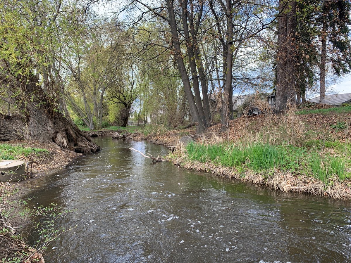 Mitigation work along Mill Creek in Kelowna in 2018 has prevented major flooding incidents such as the one that flooded many homes in 2017. 