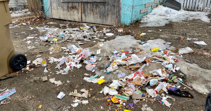 Spring melt uncovers piles of garbage, drug paraphernalia in one Regina neighbourhood – Regina | Globalnews.ca