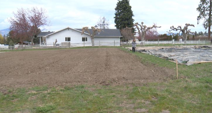 Generous land donation boosts Okanagan food charity  | 24CA News