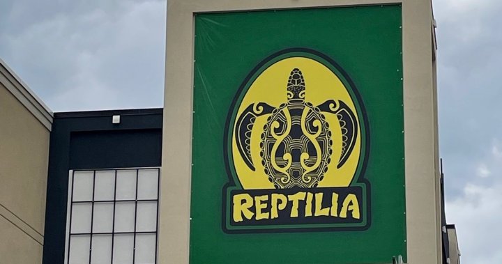 Съдебната битка между Лондонското Сити и компанията Reptilia за вътрешни