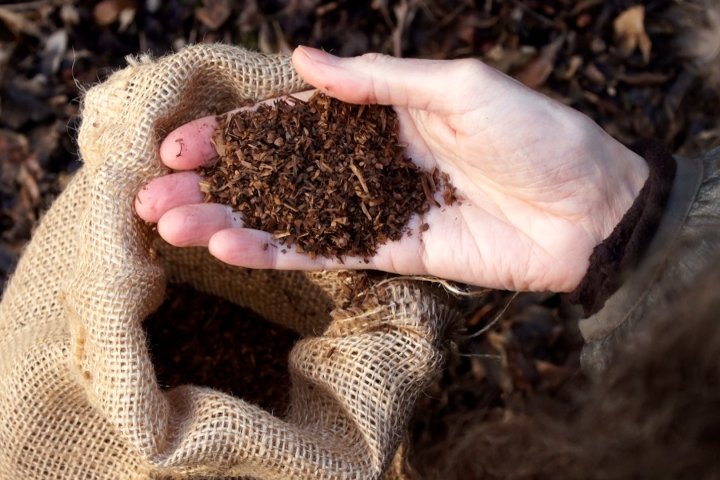 Is human composting the next frontier in death care?