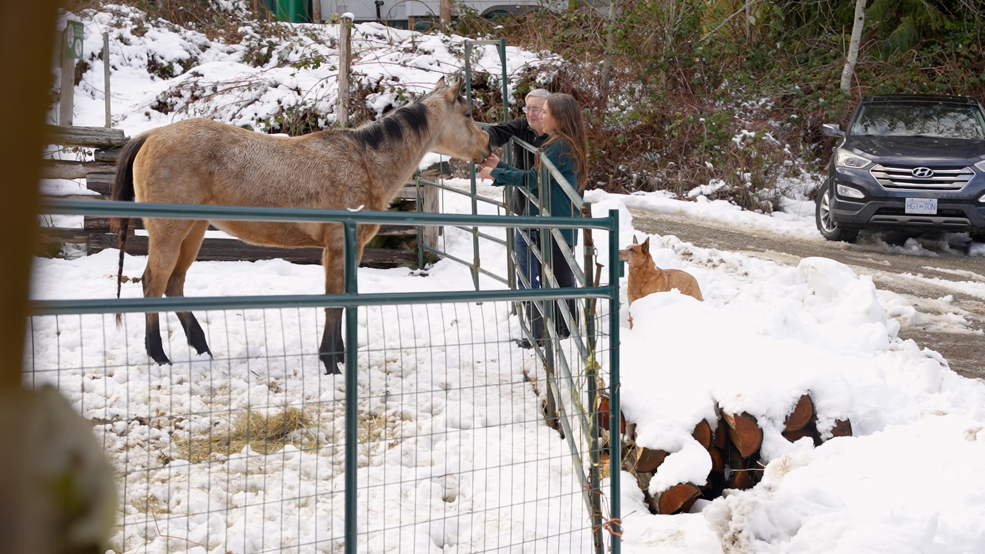 Cathy Valentine and Gavin Johnston at their working farm, which is also Salt Spring Island Natural Cemetery.