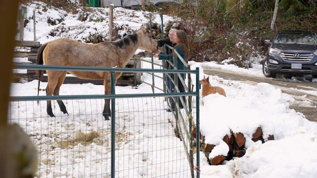 Cathy Valentine and Gavin Johnston at their working farm, which is also Salt Spring Island Natural Cemetery.