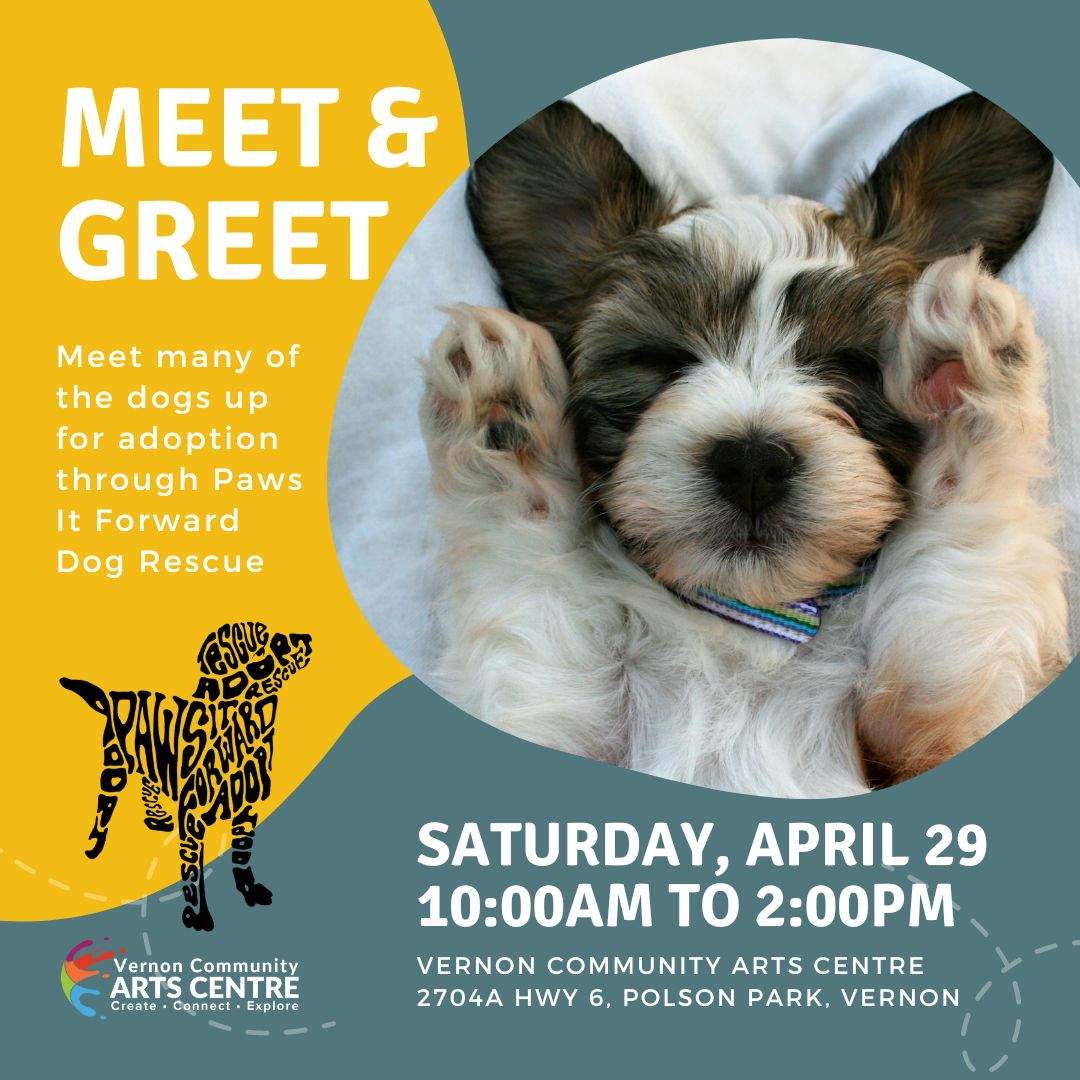 Paws It Forward Meet & Greet - image