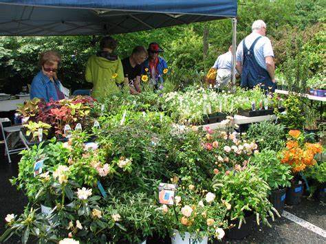 Plant & Garden Sale Fundraiser for Pender Harbour Community Hall - image