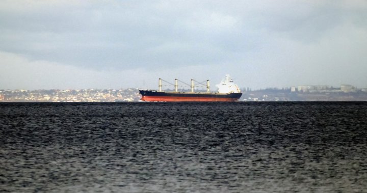New Black Sea grain deal remains elusive despite resumption of ship inspections