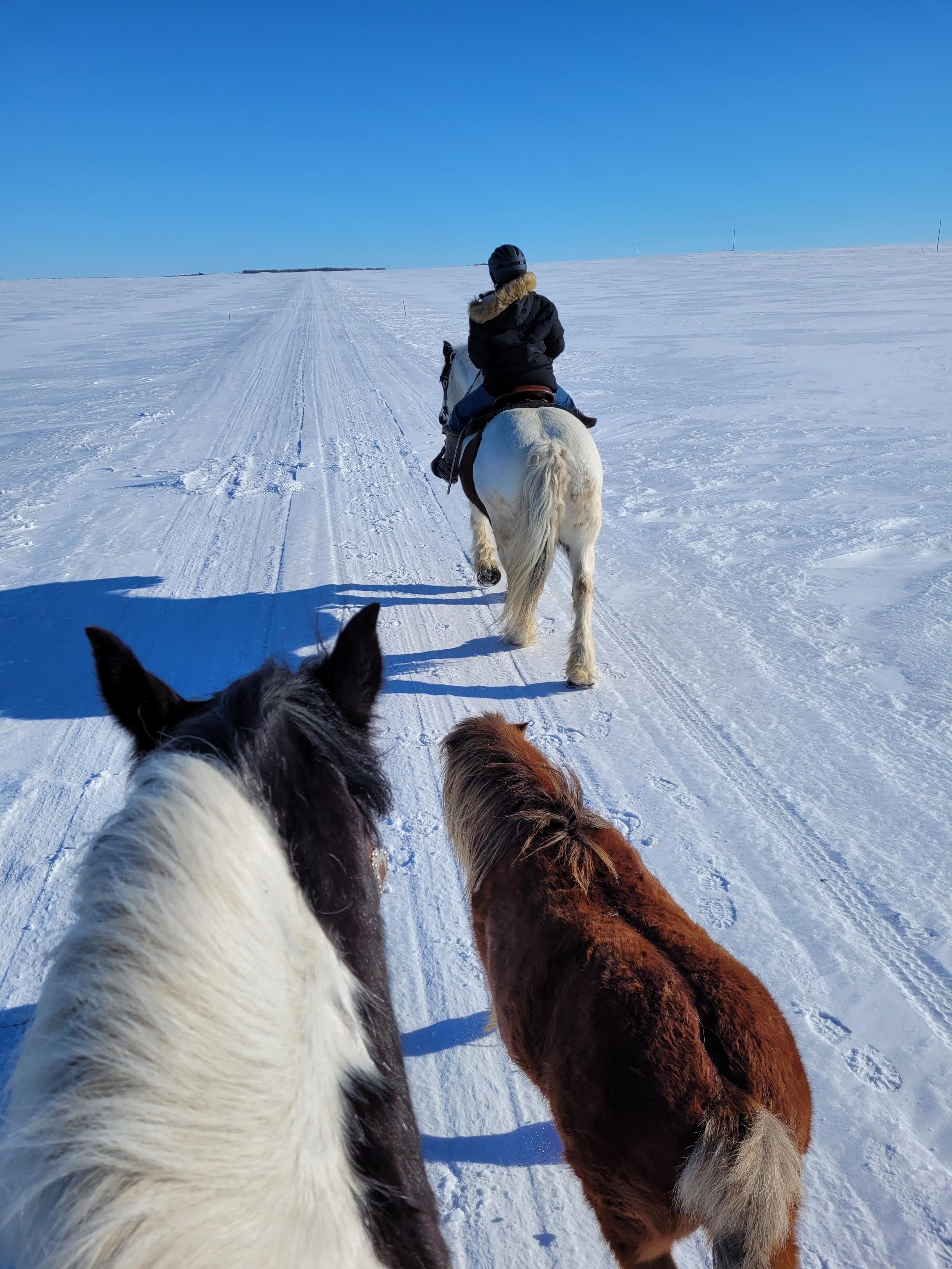 Your Saskatchewan photo of the day: April 2023  | 24CA News