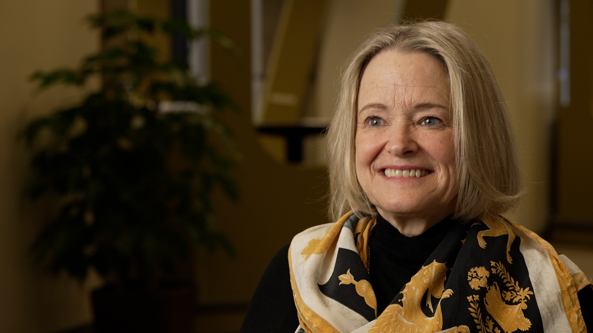 Professor Siobhan Stevenson of the University of Toronto has studied the changing role of public libraries.