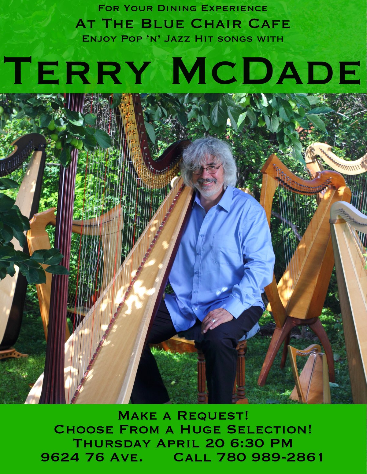 Terry McDade live @ the Blue Chair - image