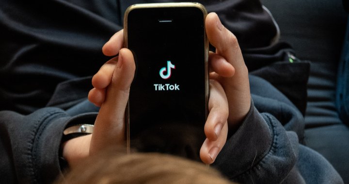 Will TikTok vanish on campus? Universities debate its future as app-maker cries foul – National | Globalnews.ca