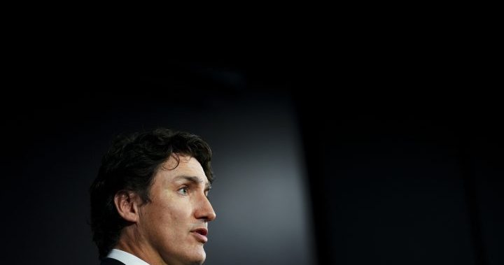 Trudeau urges caution as calls grow for foreign influence registry – National | Globalnews.ca