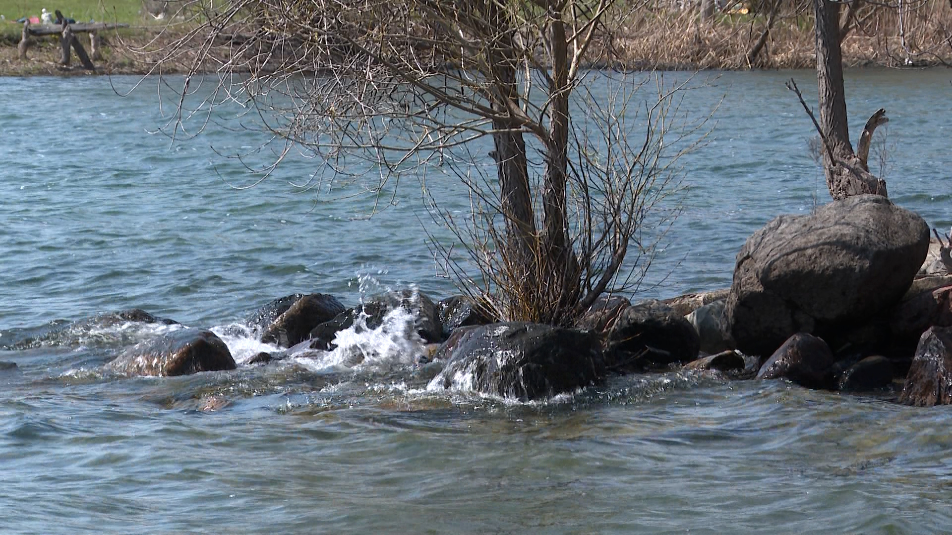Kingston Leaders Call On Ontario To Support Marine Conservation In Great Lakes - Beritaja