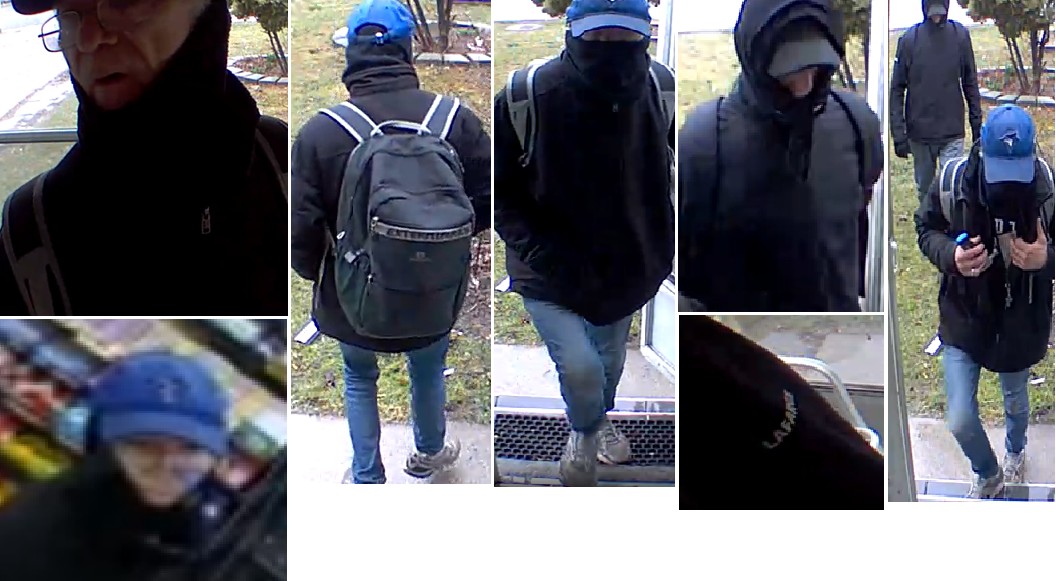 Police are seeking to identify two suspects wanted in connection with a break and enter in Toronto.