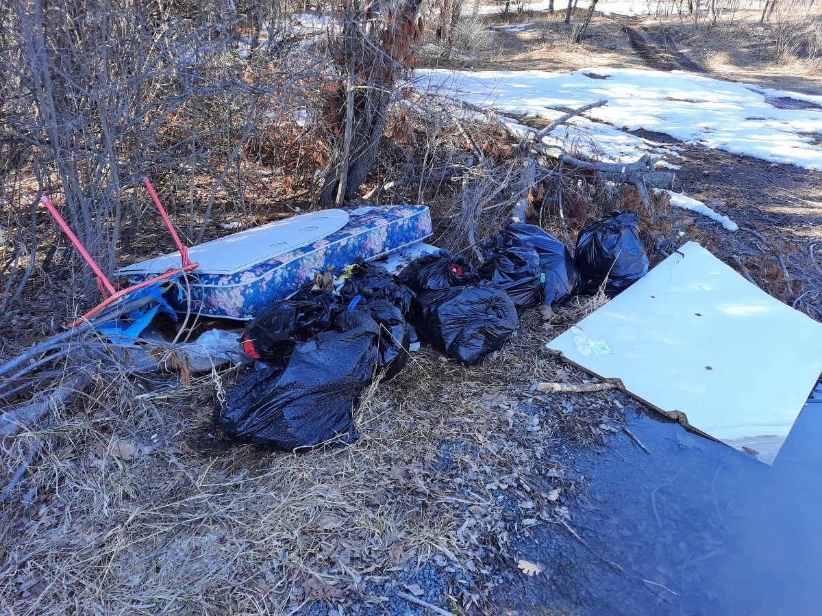 The Ministry of Natural Resources and Forestry is investigating after garbage was found dumped on Crown land in Havelock-Belmont-Methuen Township.