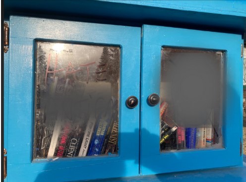 A photo of hate-motivated graffiti on a suburban Calgary little free library.