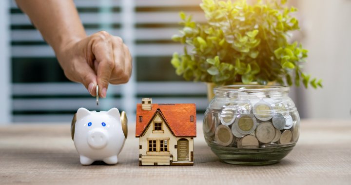 First home savings account: Here’s how you can use it alongside your TFSA, RRSP – National | Globalnews.ca