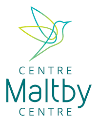 Kingston, Ont.'s Maltby Centre has launched several new programs to help with youth mental health.