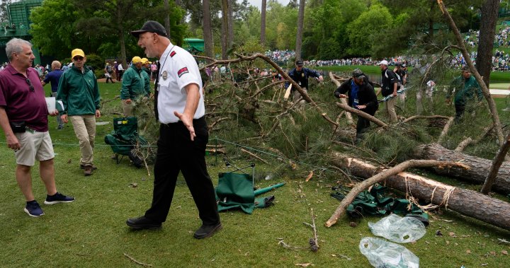 Masters golf tournament interrupted after storm knocks trees onto course – National | Globalnews.ca