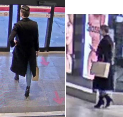 2 suspects steal $19K worth of products from Toronto store as another keeps watch: police - image