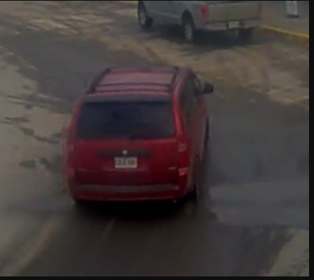 Kingston Police seek alleged shoplifting suspect - image