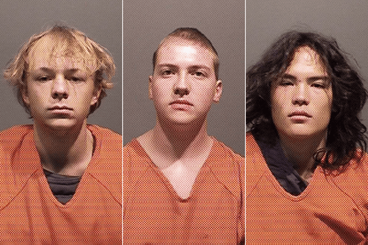 Suspects in rock-throwing spree became 'blood brothers' after fatal attack: police - Vimarsana News