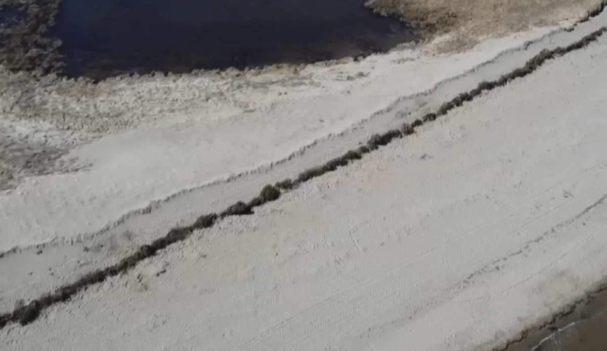 Volunteers help rebuild dunes lost to Hurricane Fiona in Shediac, N.B. New Brunswick