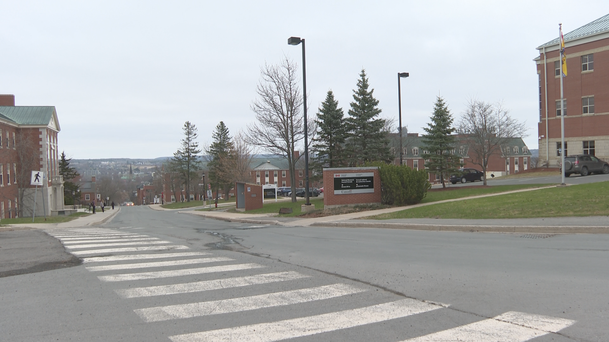 The University of New Brunswick says it is committed to working with the police and city to help keep everyone safe.
