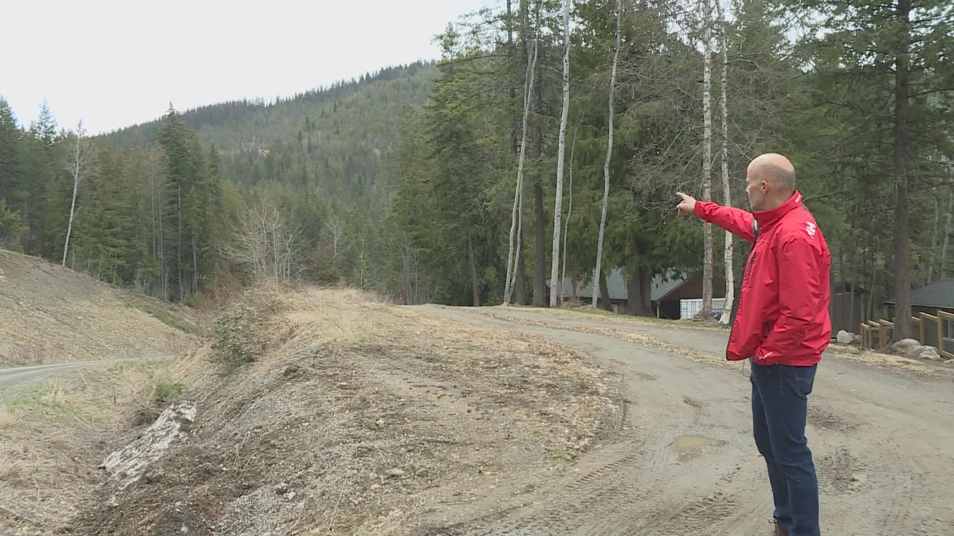 Petition raising concerns about Vernon, B.C. area cut block receives wave of support  | 24CA News