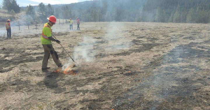 Indigenous-led prescribed burn with cultural significance in Kelowna, B.C. – Okanagan | Globalnews.ca