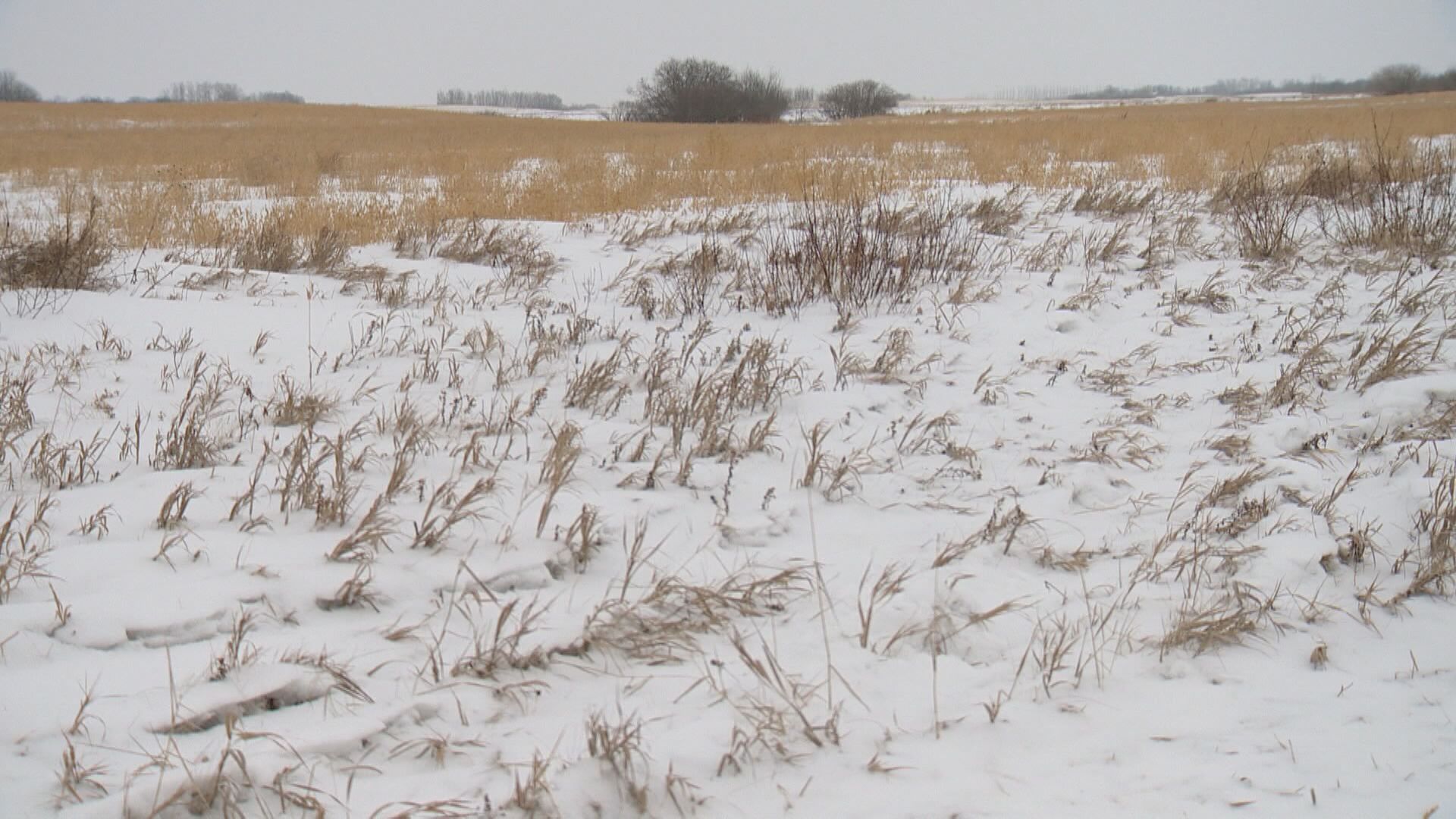 Прогнозите за суша са твърде рано да се каже след
