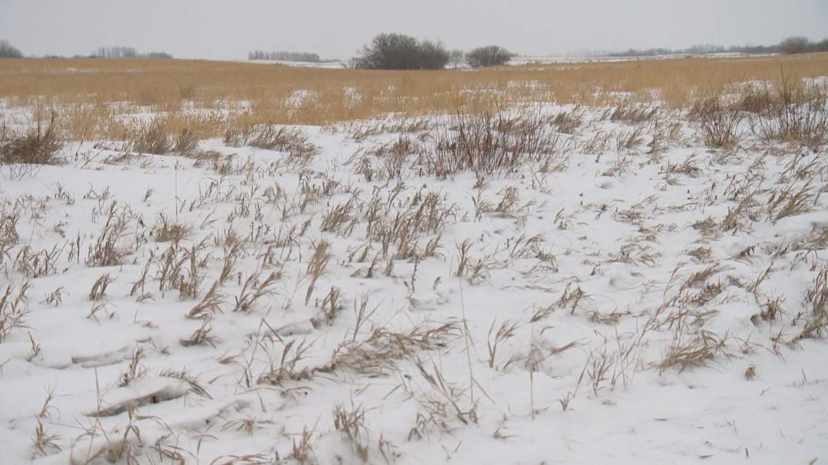 As the Water Security Agency analyze the recent snow dump across the province this past weekend, the question if it's enough precipitation or is more needed.