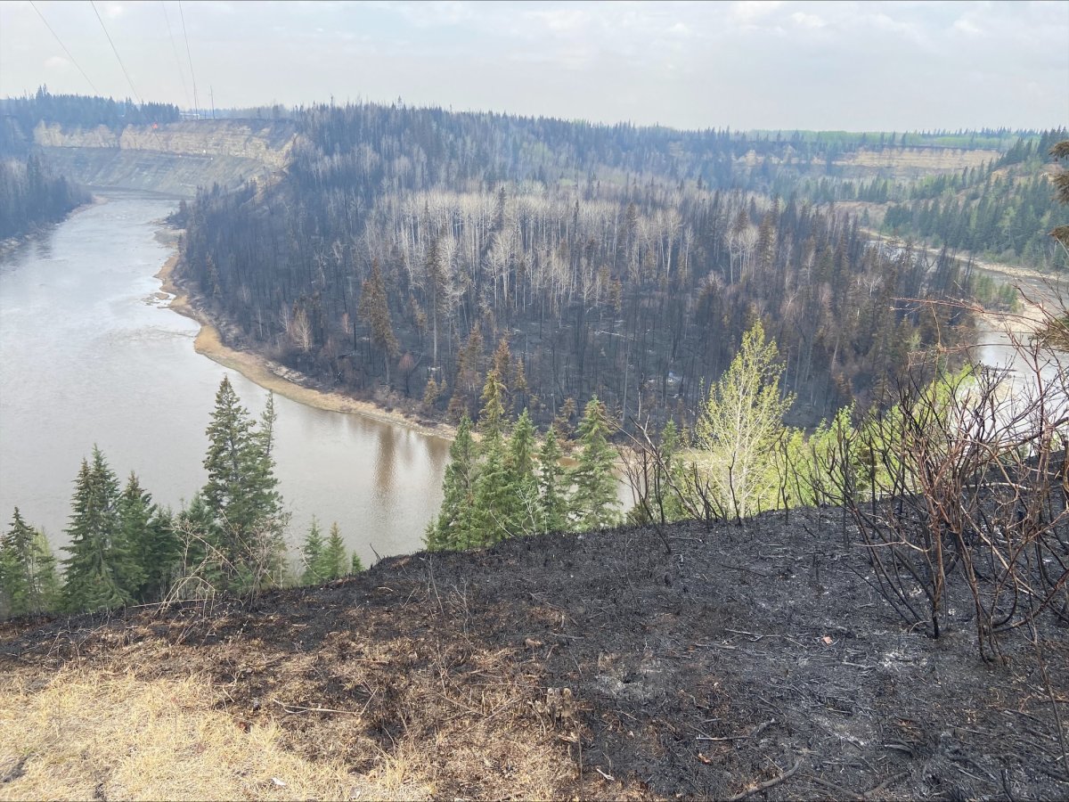 Alberta wildfires Mayor of Yellowhead County wants provincial election