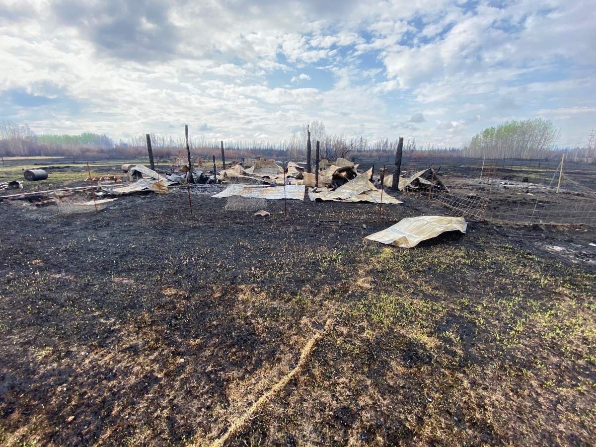 Tracey MacDonald's farm south of Drayton Valley, Alta., on May 10, 2023. It was destroyed by wildfire.
