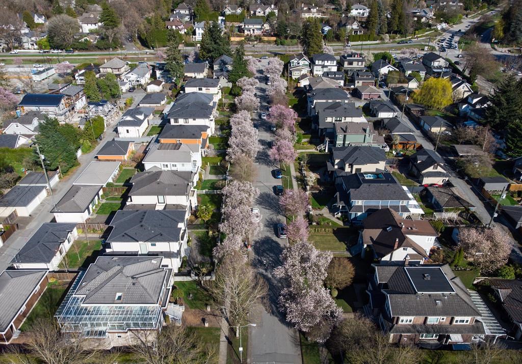 Cherry blossom trees line a residential street in Vancouver, on Tues. April 4, 2023.