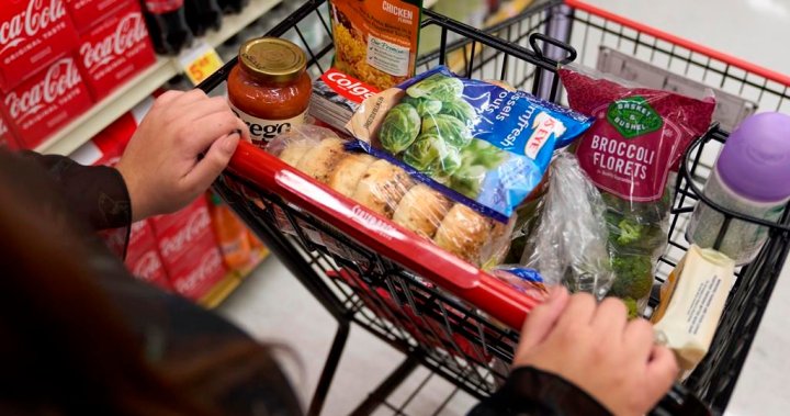An Ontario single mom who couldn’t afford fresh food helping others with rising costs