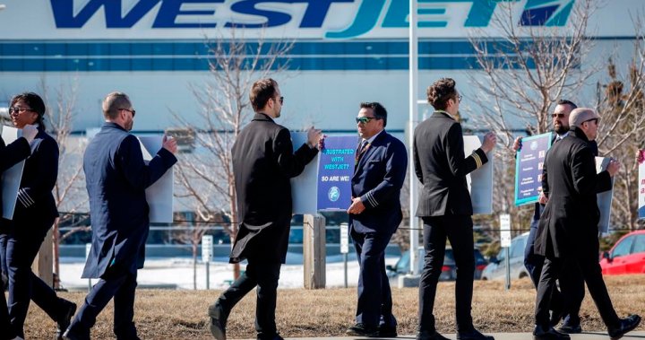 WestJet pilots could strike next week; imminent walkout would be ‘premature’  | Globalnews.ca