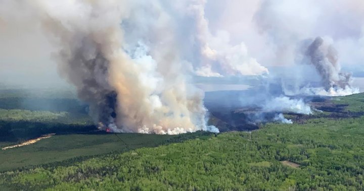 2 weeks and a heat dome later: Where does Alberta wildfire situation stand?  | Globalnews.ca