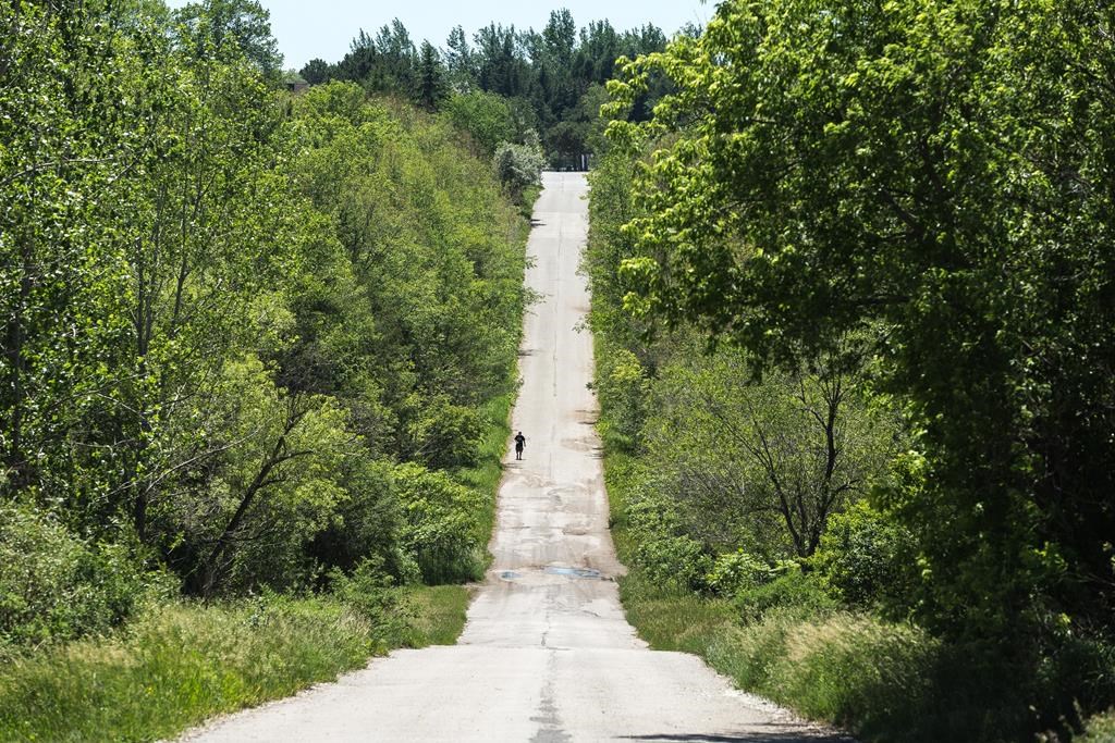 A hiker walks along a road between two trail heads at the Rouge Urban National Park, in Toronto, Tuesday, June 15, 2021. Ontario's auditor general says the environment has been improving over the past several decades, but air and water pollution along with the loss of wetlands and forests remains a concern.THE CANADIAN PRESS/Giordano Ciampini.