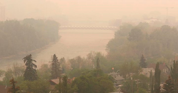 Wildfire smoke workshop teaches Albertans about dangerous impact of poor air quality