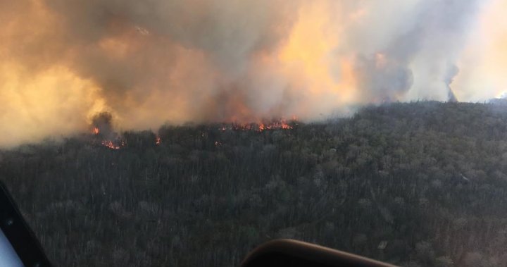 Н.С. трябва да накара хората да плащат големи пари за незаконно изгаряне по време на сезона на горските пожари
