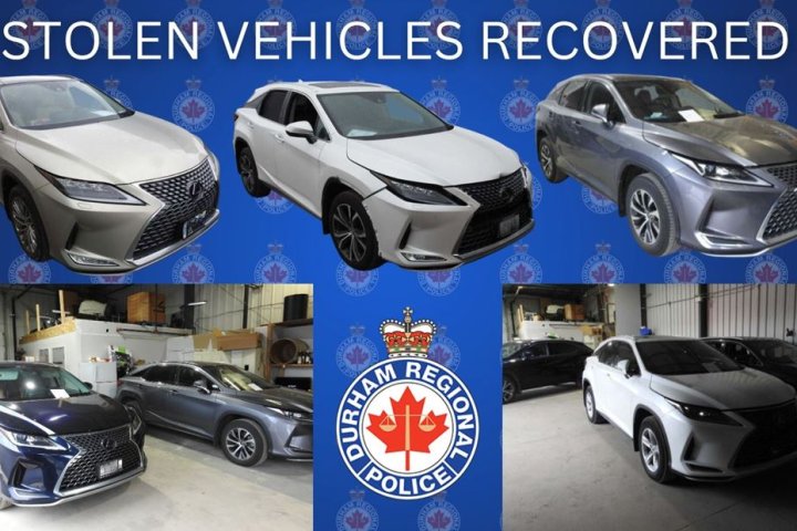 Over $1M in stolen vehicles recovered in Durham Region: police