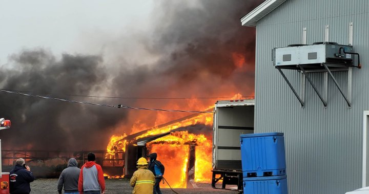 Fire significantly damages lobster fishery on Grand Manan, N.B.