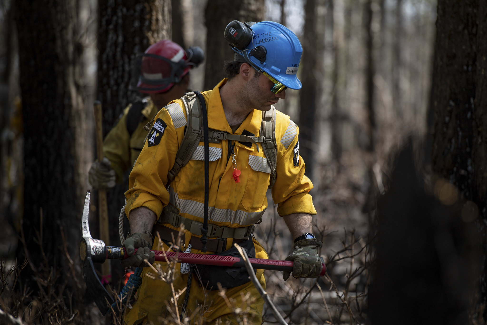 След рекордна година за горски пожари в провинцията последвана от