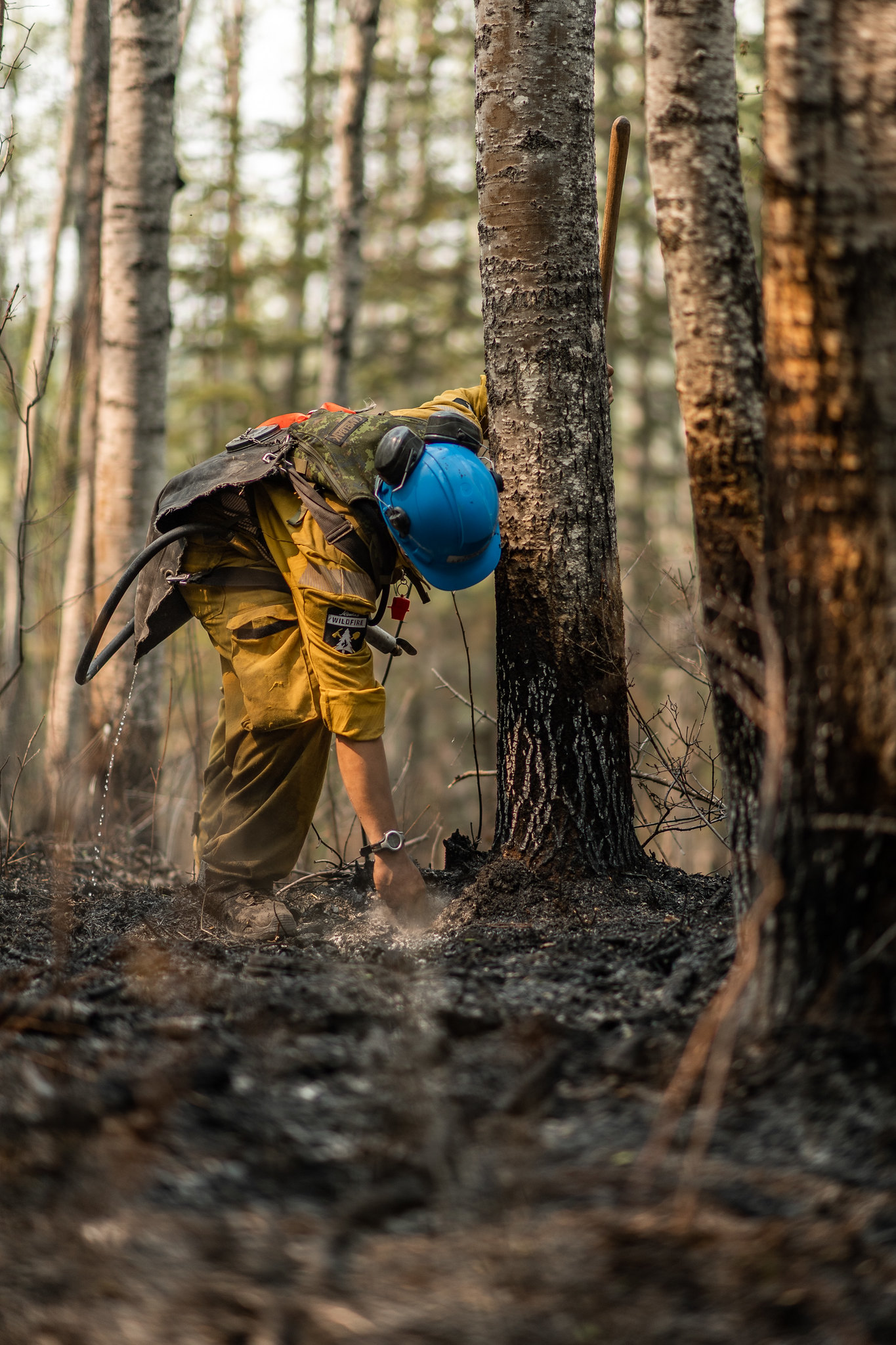 Alberta wildfires: evacuees return home but ‘season isn’t over yet’ officials warn