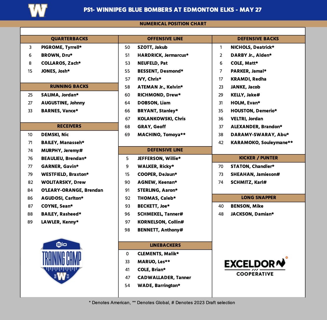 Winnipeg Blue Bombers take many veterans for 1st pre-season clash - image